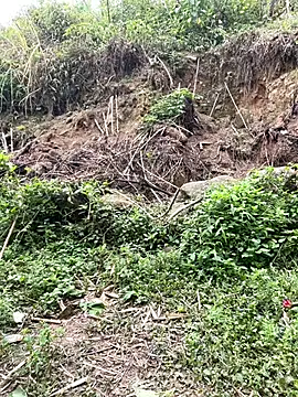 Chat +18 de Felicity-1 ao vivo