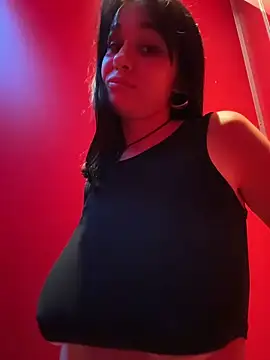 Show webcam de VendiMur