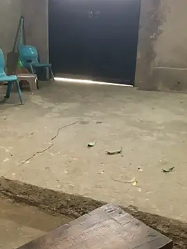 baeas-lan 网络视讯表演