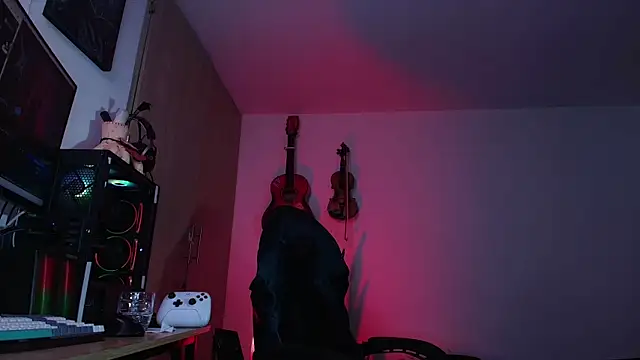 Show webcam de Ryuk_it