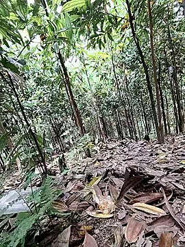 Ruby_Lucy 现场XXX聊天