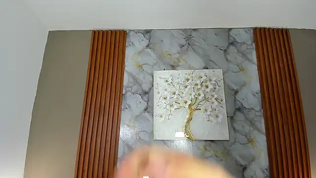 Pertunjukan Kamera Web BOYS_PLAY