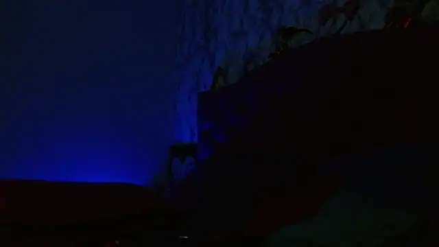 AlexaFontana's Webcam Show