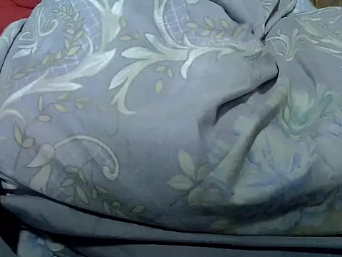 แชท XXX สดของ AurelAda