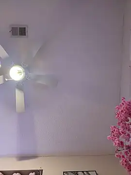 Show Webcam de Terribletabby