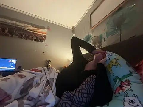 Show Webcam de Vaua089