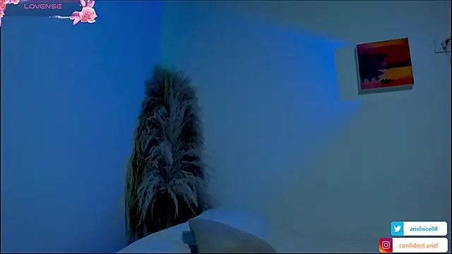 Chat XXX en directo de NiceAriel_