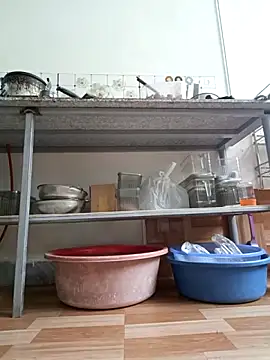 Lyly-2k5 网络视讯表演