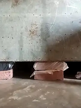 StrellaStarling Show Webcam