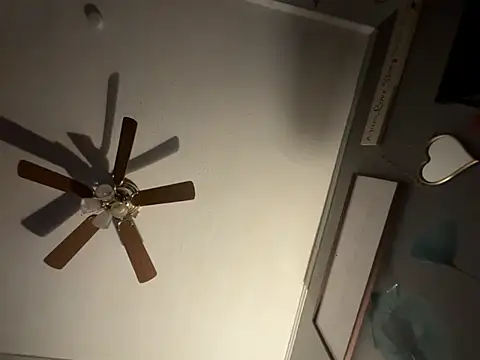 Show webcam de Vaua089