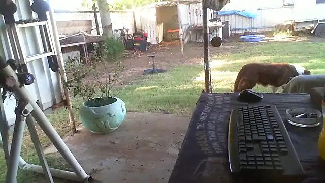 Show de herbie010666 na webcam