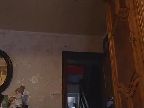 Show webcam de hansmart60