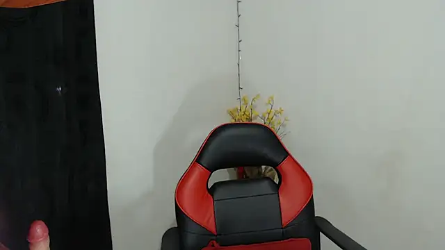 Show Webcam de Meegaan_Love