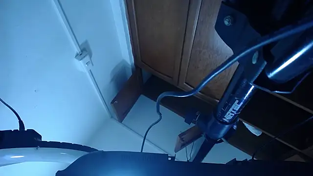 Saylen_Queen – Kamerová šou