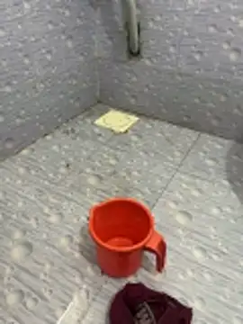 NoddingScorpion's Webcam Show