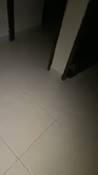 TipsteryRoyal Pertunjukan Webcam