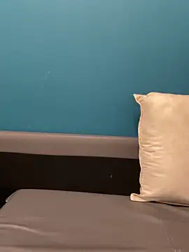 ZHJKS9988 Show Webcam