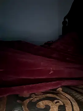 Show webcam de bigboytoy912