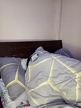 Brian_johnsn Webbikameraesitys