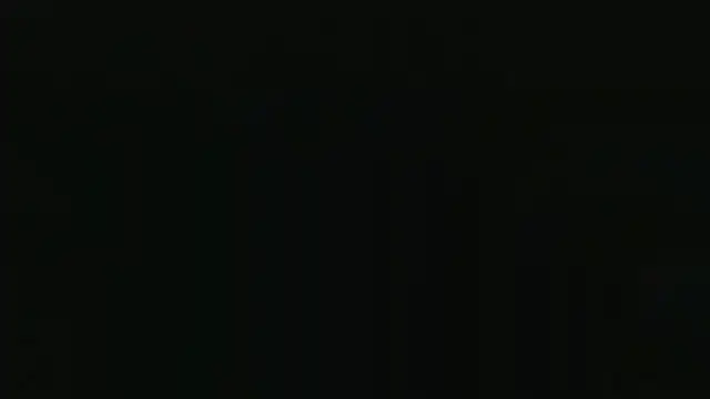 Show webcam de alcatraz009