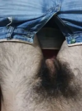 Show de bomvemcam na webcam