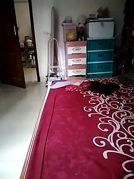 ALonmill 网络视讯表演