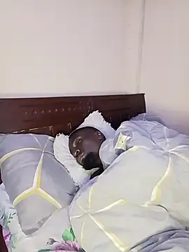 Brian_johnsn Webbikameraesitys