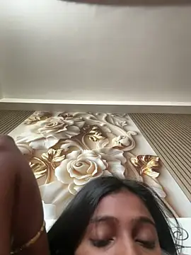 HeerStdn Webbikameraesitys