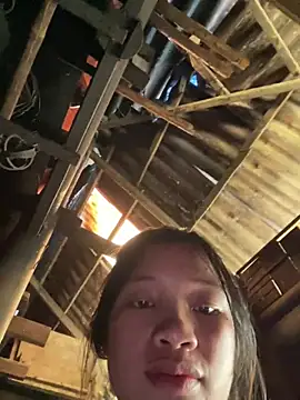 beobeo_2xx 网络视讯表演