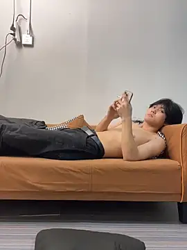 Show modela xf-110 na web-kameri