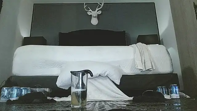 Show Webcam de danilog515