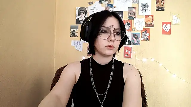 Show modela HighLense na web-kameri