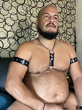 the_master_foal_ 웹캠 쇼