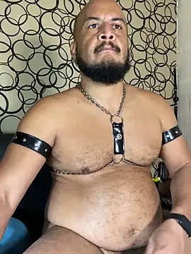 the_master_foal_ 웹캠 쇼