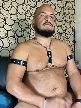 the_master_foal_ 웹캠 쇼