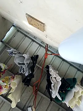 nastyladykinky432 Pertunjukan Webcam