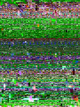 Sukem-mut Obrolan Langsung XXX