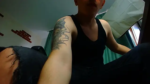 FelixStarkk Pertunjukan Webcam