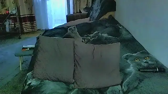 sex2 现场XXX聊天