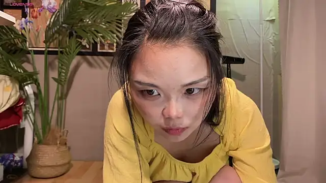 Chat +18 de xiaosu22 ao vivo