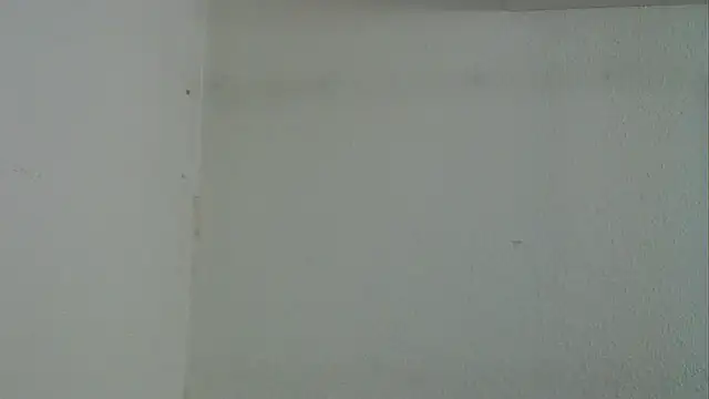 pimmelmann3 – Kamerová šou