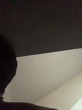 Show Webcam de Sourdiess