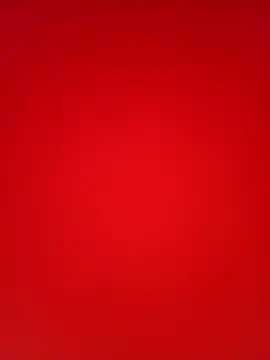 Hoa-tuylip Show in webcam