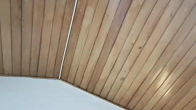 ashly_jones_ 라이브 XXX 채팅