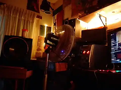 Show webcam de amoralall