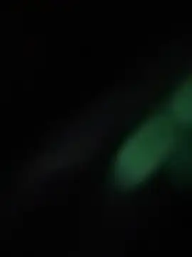 RinaCat Live XXX-Chat