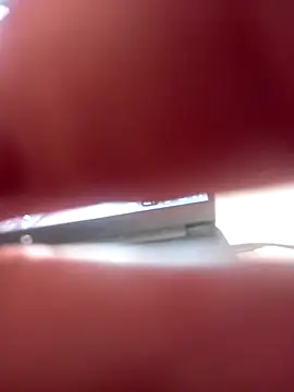 InferredPloce Show in webcam