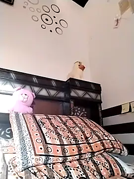 Chat XXX en directo de Wild_Vassu