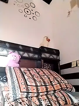 Pokazy przed kamerką – Wild_Vassu