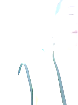 bichota85's Webcam Show